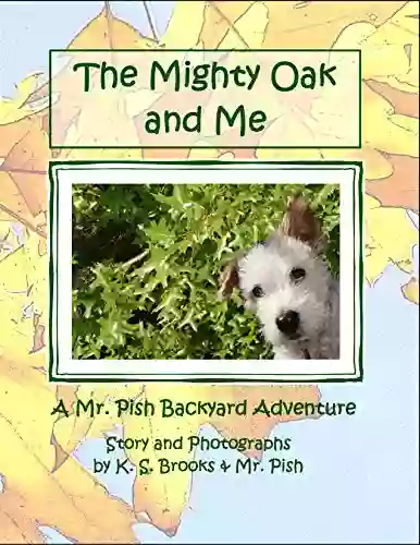 The Mighty Oak And Me (Mr Pish Backyard Adventure 2)