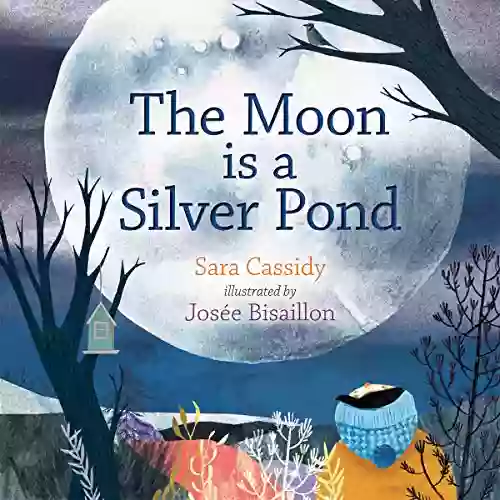 The Moon Is A Silver Pond