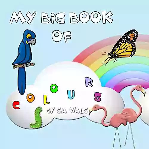 My Big Of Colours (Illustrated For Children 2)