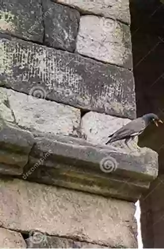 The Mynah In The Minaret