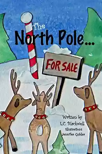 The North Pole For Sale