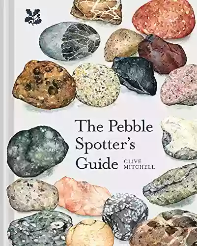 The Pebble Spotter S Guide Clive Mitchell