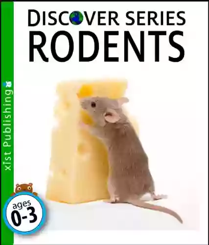 Rodents: Discover Picture For Children