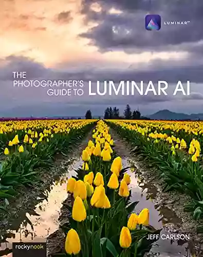 The Photographer S Guide To Luminar AI