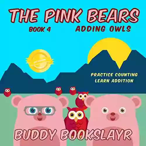 The Pink Bears Adding Owls: The Pink Bears 4