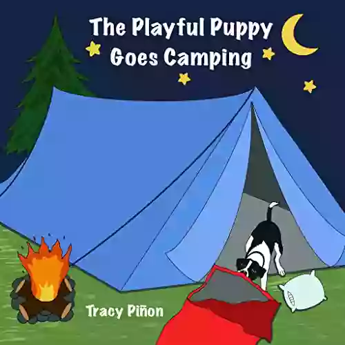 The Playful Puppy Goes Camping: (Exploring colors and the great outdoors)