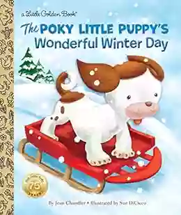 The Poky Little Puppy S Wonderful Winter Day (Little Golden Book)