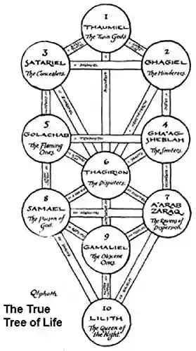 The True Tree Of Life: The Qliphotic Tree In Reverse