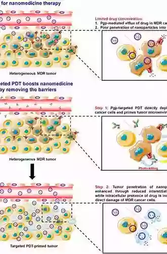 Nanomedicine In Cancer French Hacking