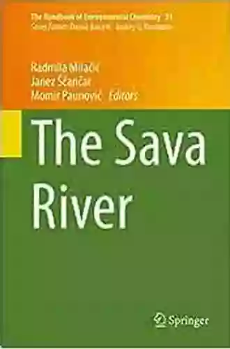 The Sava River (The Handbook Of Environmental Chemistry 31)