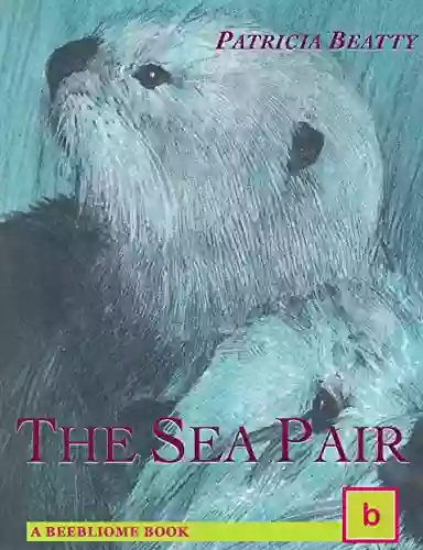 The Sea Pair: Illustrated Historical Fiction For Teens