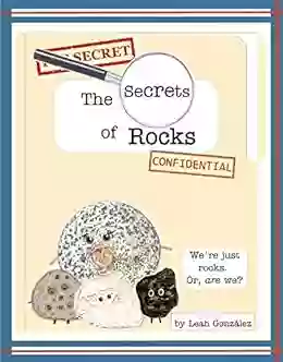 The Secrets Of Rocks Leah Gonzalez