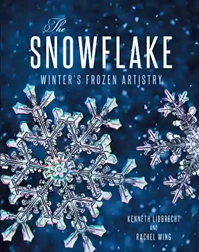 The Snowflake Brian D Laslie