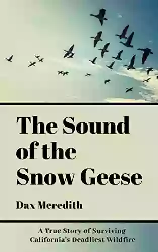 The Sound Of The Snow Geese