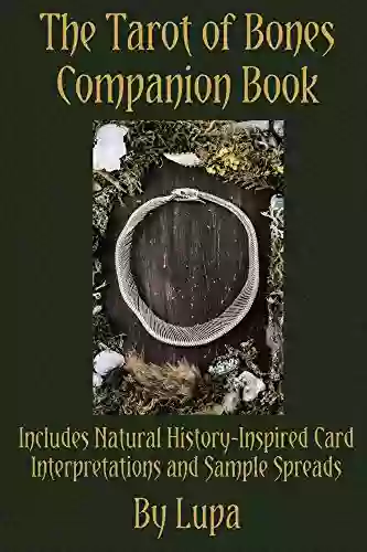 The Tarot Of Bones Companion