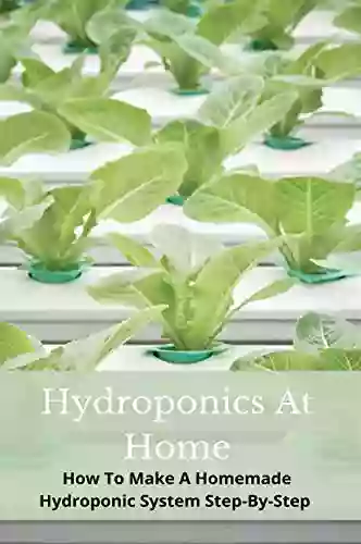 Hydroponics At Home: How To Make A Homemade Hydroponic System Step By Step: Diy Hydroponics Pvc