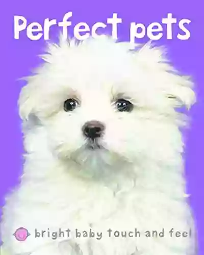 Bright Baby Perfect Pets: Touch and Feel (Bright Baby Touch and Feel)