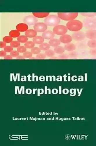 Mathematical Morphology: From Theory To Applications