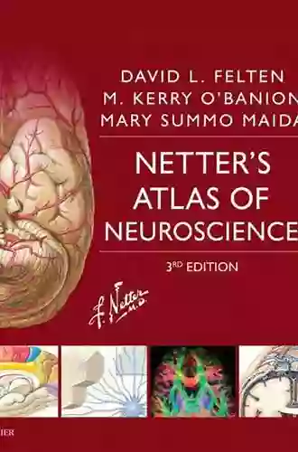 Netter s Atlas of Neuroscience E (Netter Basic Science)