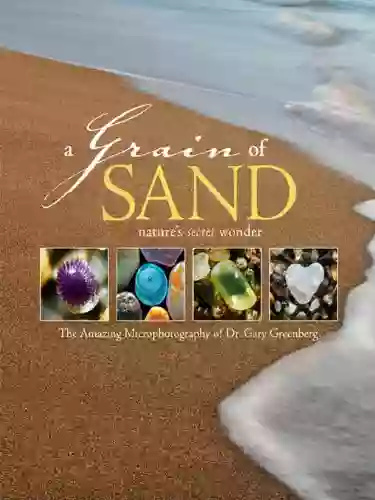 A Grain Of Sand: Nature S Secret Wonder