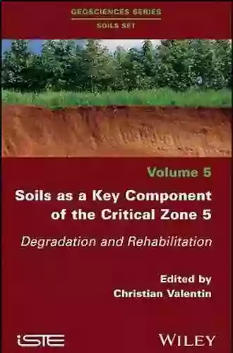 Soils As A Key Component Of The Critical Zone 6: Ecology (Geosciences Series: Soils Set)