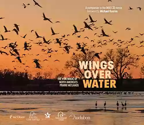 Wings Over Water: The Vital Magic of North America s Prairie Wetlands