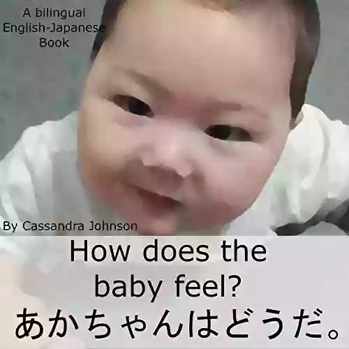 How Does The Baby Feel: A Bilingual English Japanese (The Wee Ones)