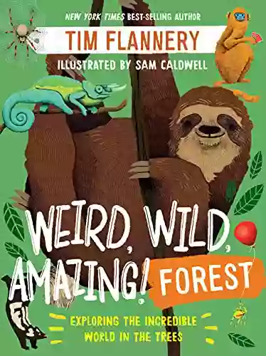 Weird Wild Amazing Forest: Exploring The Incredible World In The Trees