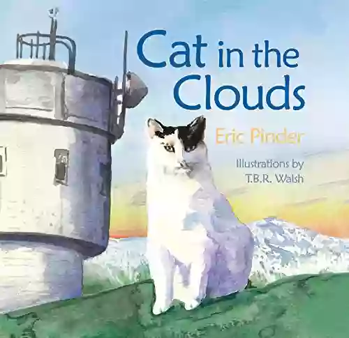 Cat In The Clouds Eric Pinder