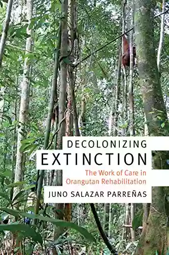 Decolonizing Extinction: The Work Of Care In Orangutan Rehabilitation (Experimental Futures)