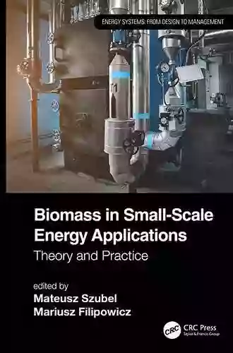 Biomass In Small Scale Energy Applications: Theory And Practice (Energy Systems)