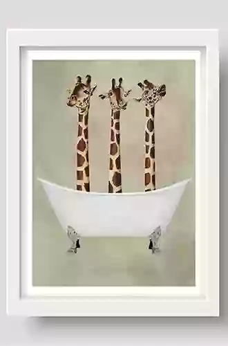 Three Giraffes Having A Bath