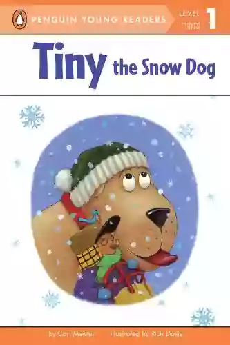 Tiny The Snow Dog Cari Meister