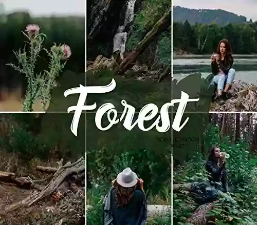 4 Mobile Lightroom Preset FOREST Lightroom Mobile Download Link + Installation Guide: Instagram Presets Blogger Presets Travel Presets Lightroom Mobile Presets Lifestyle Wedding Presets