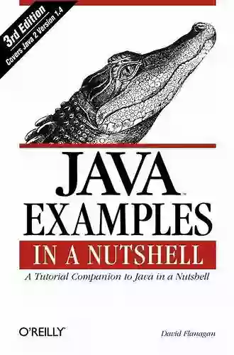 Java Examples In A Nutshell: A Tutorial Companion To Java In A Nutshell (In A Nutshell (O Reilly))