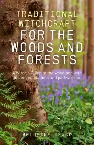 Traditional Witchcraft For The Woods And Forests: A Witch S Guide To The Woodland With Guided Meditations And Pathworking