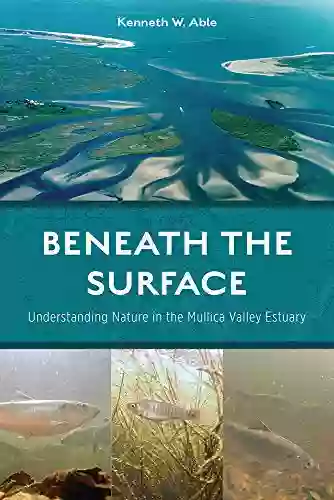 Beneath The Surface: Understanding Nature In The Mullica Valley Estuary