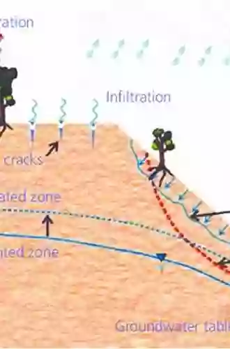 Rainfall Induced Soil Slope Failure: Stability Analysis And Probabilistic Assessment