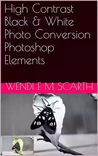 High Contrast Black White Photo Conversion Photoshop Elements (Photoshop Elements Made Easy By Wendi E M Scarth 50)