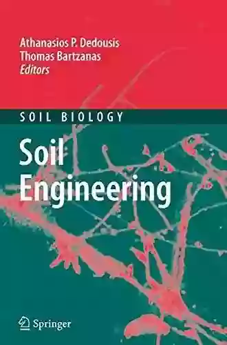 Soil Engineering (Soil Biology 20)