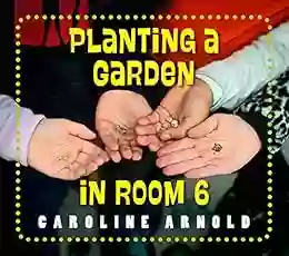 Planting A Garden In Room 6: From Seeds To Salad (Life Cycles In Room 6)