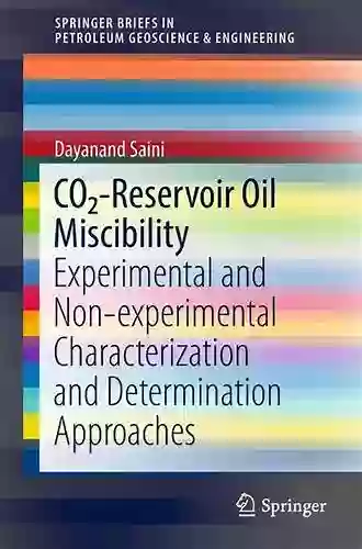 Practical Geophysical Technology And Application For Lithological Reservoirs (SpringerBriefs In Petroleum Geoscience Engineering)