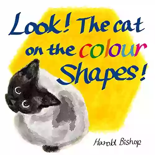 Look The Cat On The Colour Shapes