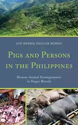 Pigs and Persons in the Philippines: Human Animal Entanglements in Ifugao Rituals