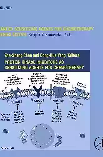 Protein Kinase Inhibitors As Sensitizing Agents For Chemotherapy (ISSN 4)