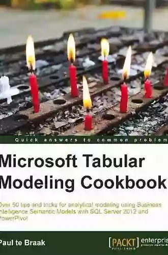 Microsoft Tabular Modeling Cookbook Paul Te Braak