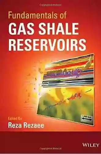 Fundamentals Of Gas Shale Reservoirs