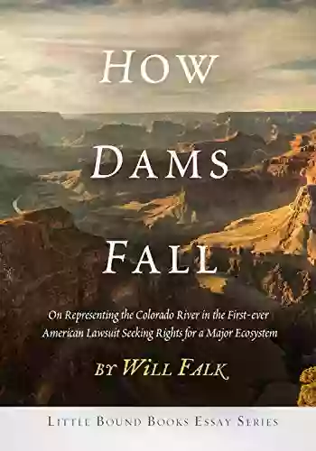 How Dams Fall Laura Lee