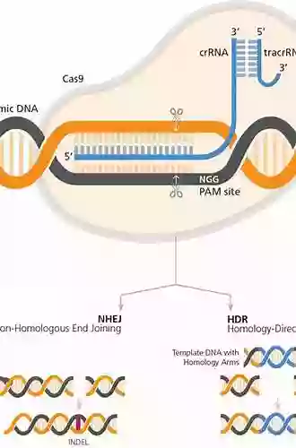 Modern Prometheus: Editing the Human Genome with Crispr Cas9