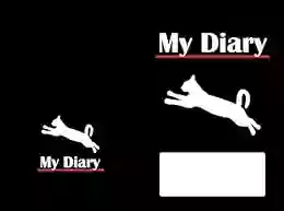 My Diary: 6 X 9 X 100 Pages